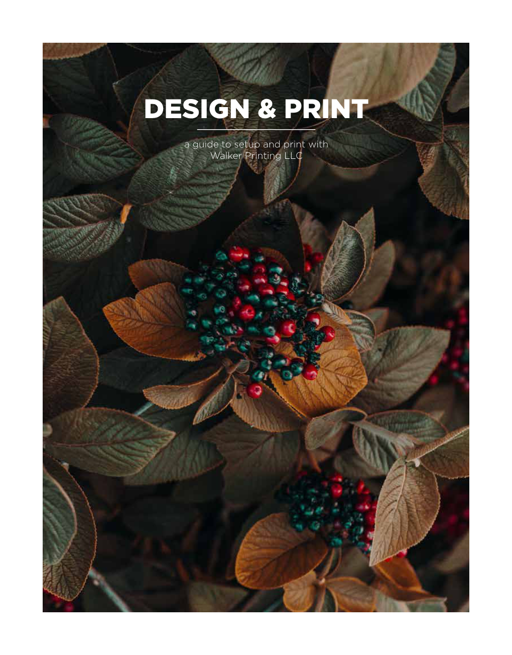 Design & Print