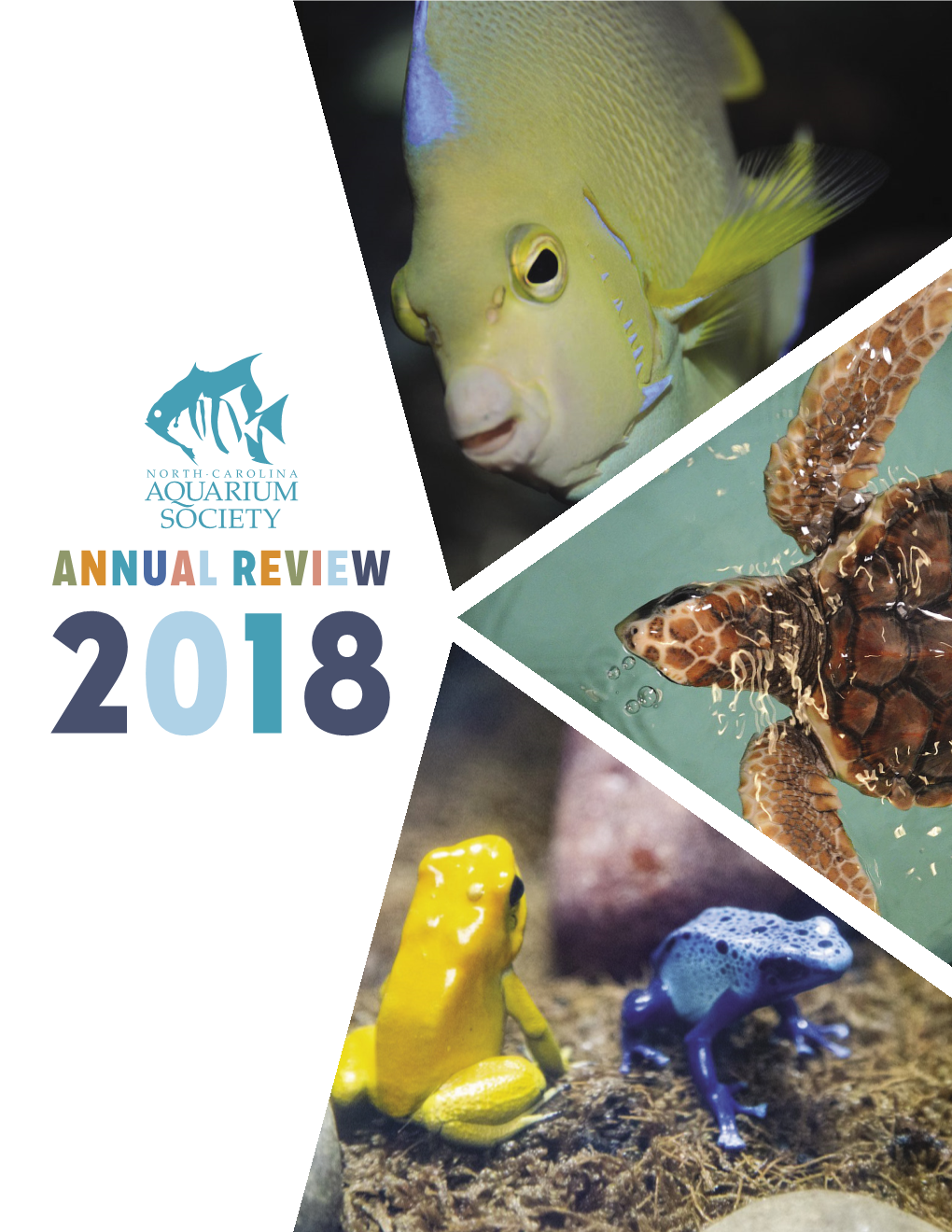 Annual Review 2018 North Carolina Aquariums and Jennette’S Pier Letter from the Chair