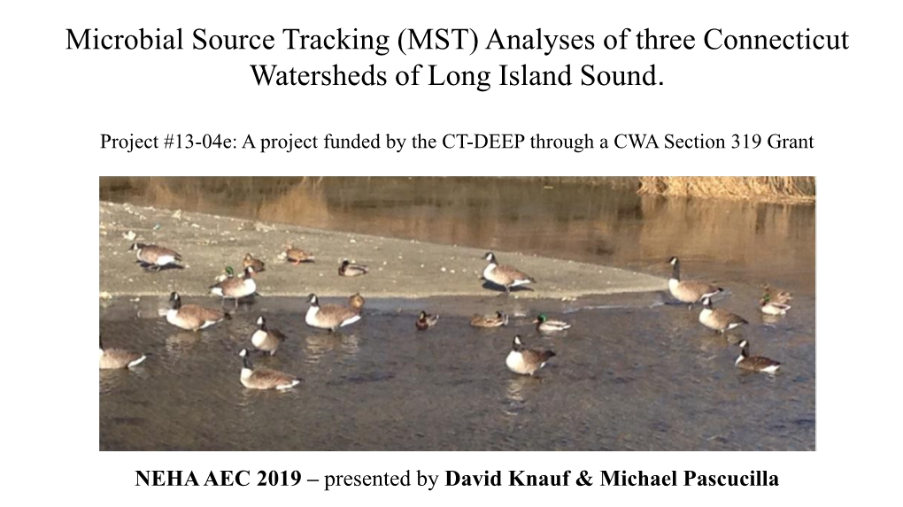 (MST) Analyses of Three Connecticut Watersheds of Long Island Sound