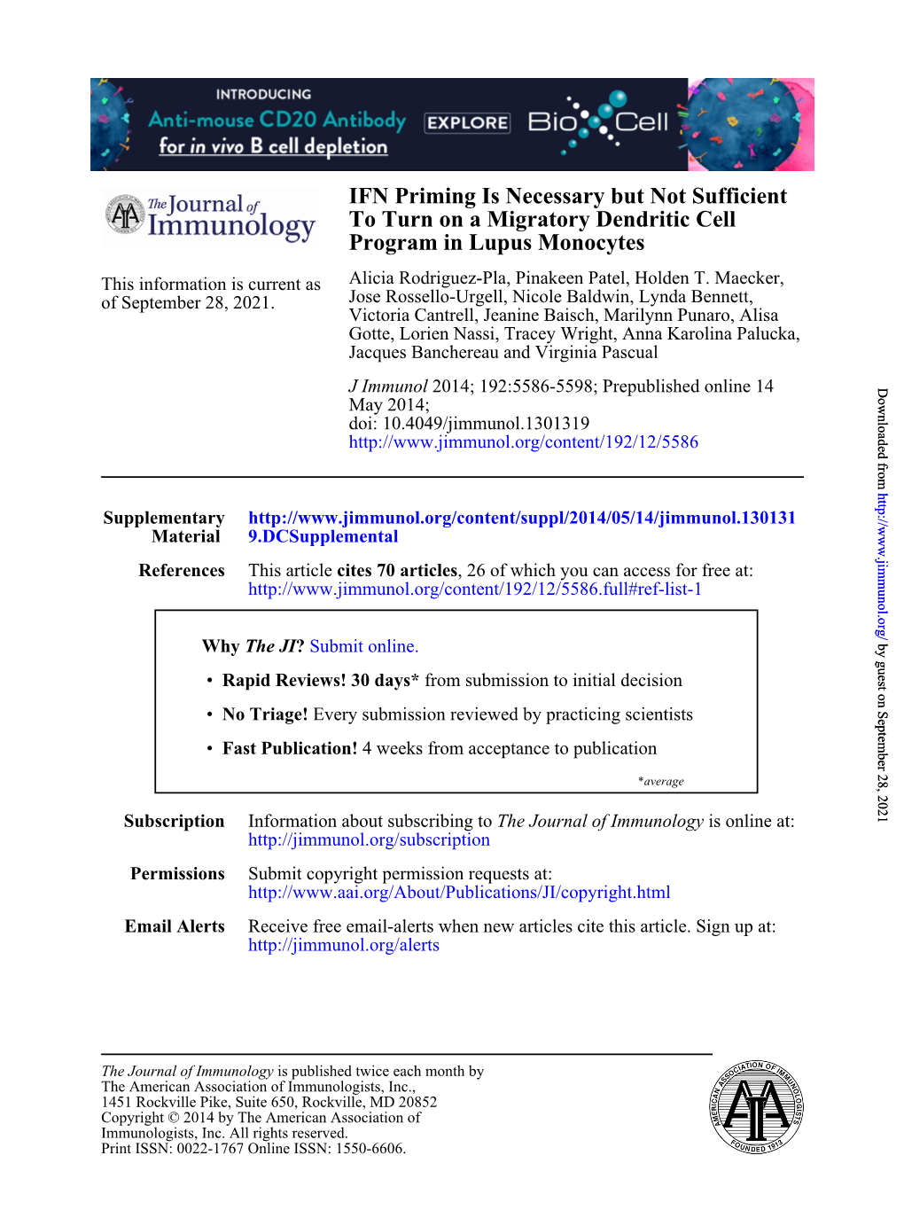 Program in Lupus Monocytes to Turn on a Migratory Dendritic Cell IFN