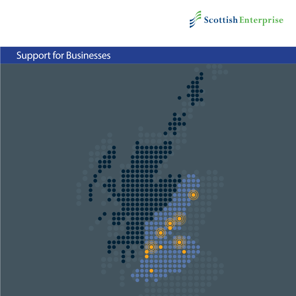 Support for Businesses We Are Scottish Enterprise