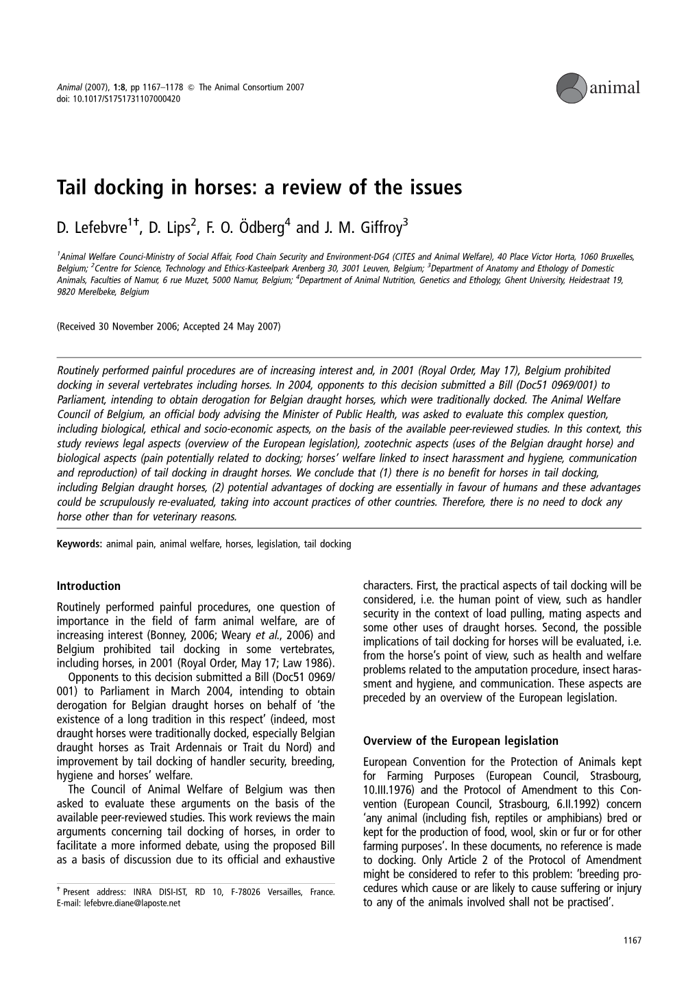 Tail Docking in Horses: a Review of the Issues