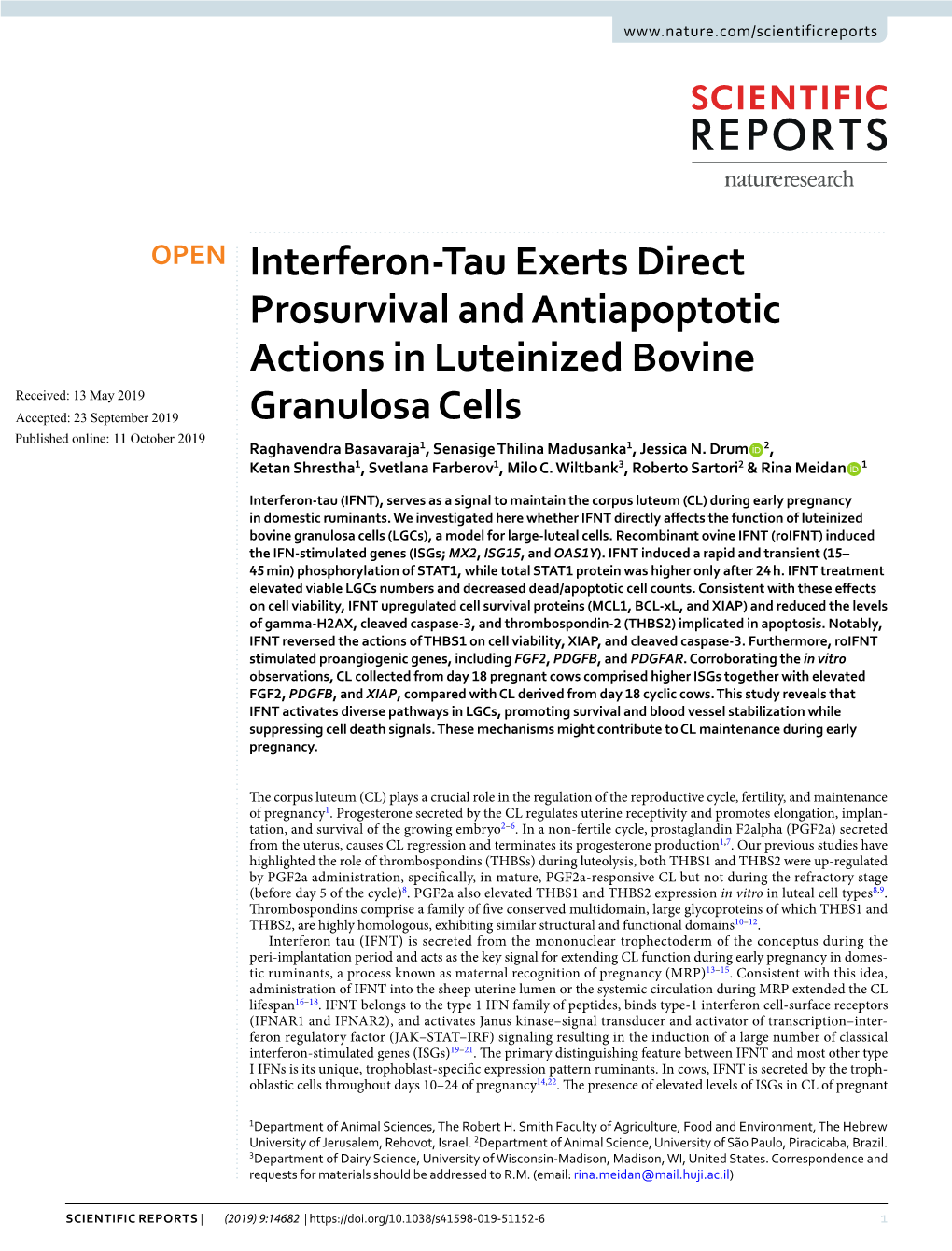 Interferon-Tau Exerts Direct Prosurvival and Antiapoptotic