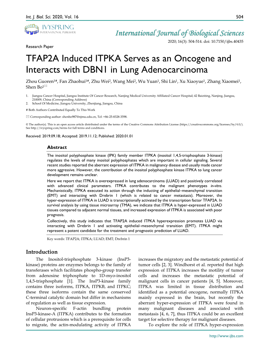 TFAP2A Induced ITPKA Serves As an Oncogene and Interacts with DBN1