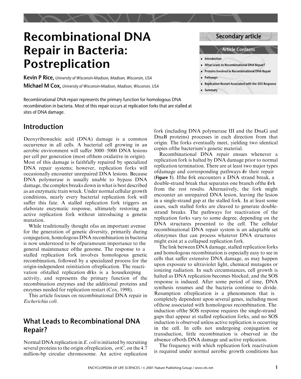 Recombinational DNA Repair in Bacteria: Postreplication