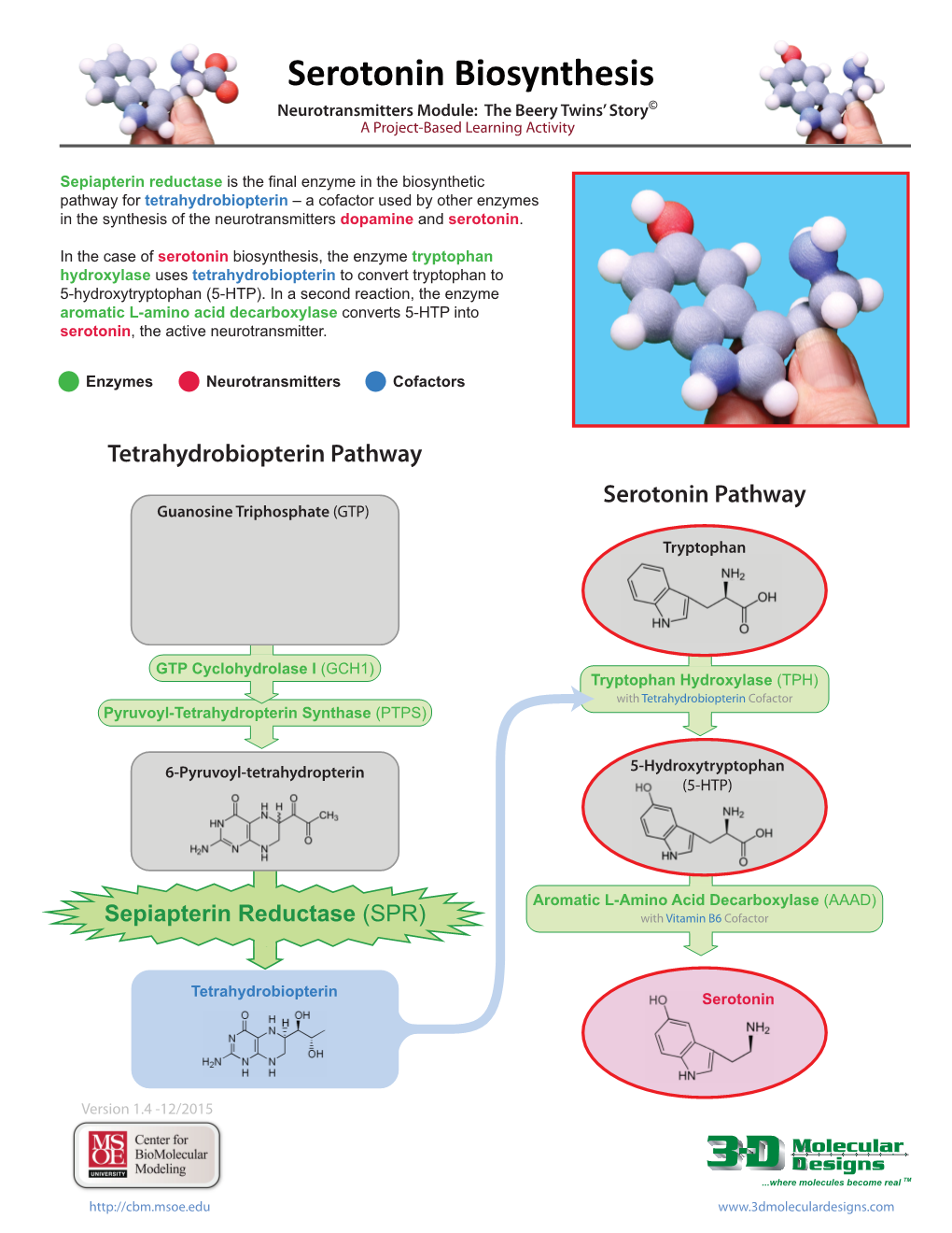 Serotonin Biosynthesis Neurotransmitters Module: the Beery Twins’ Story© a Project-Based Learning Activity