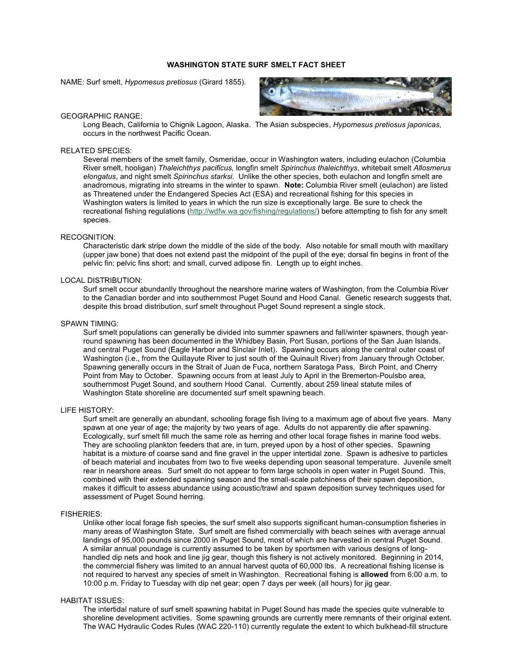 Surf Smelt Fact Sheet