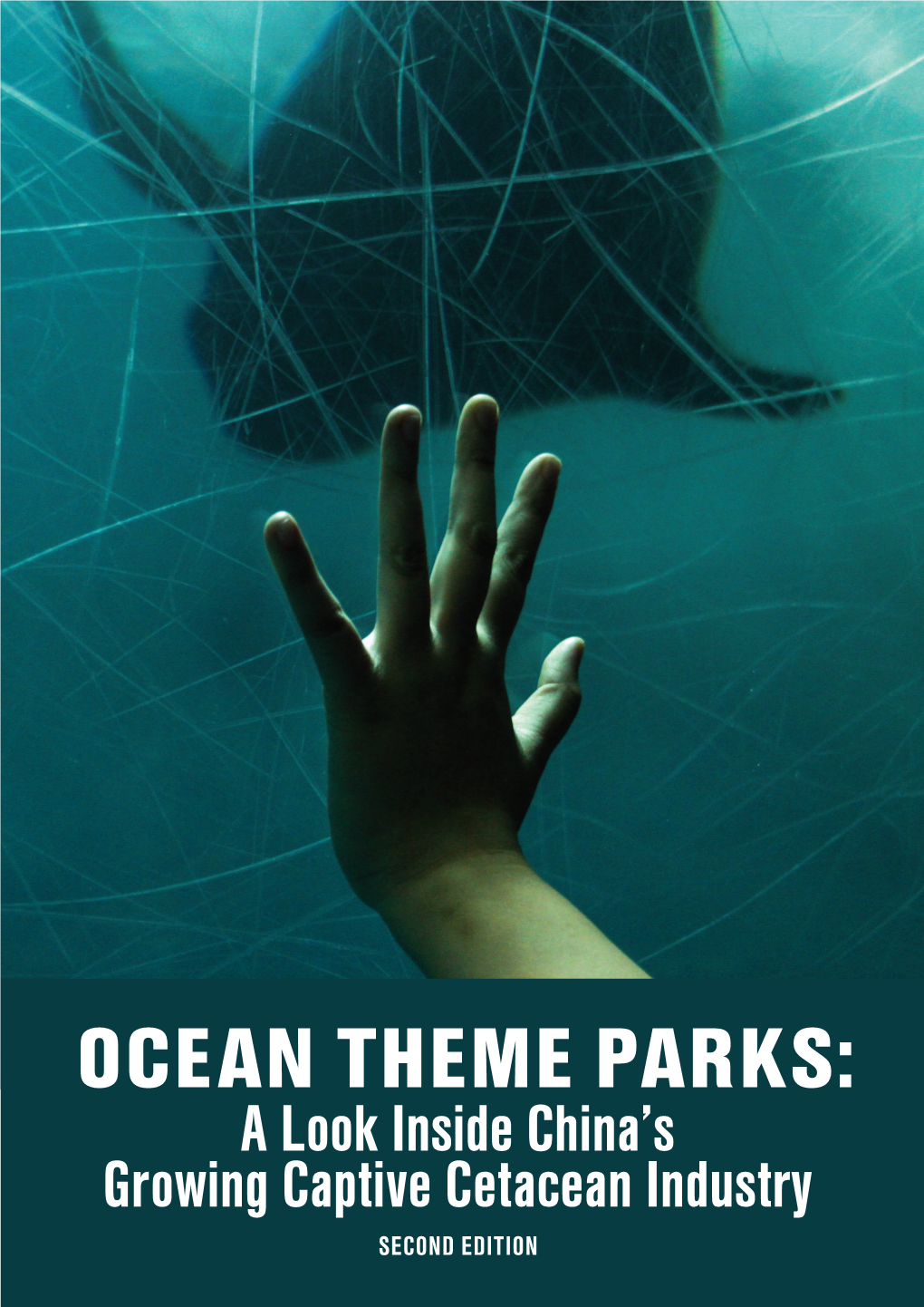 Ocean Theme Parks