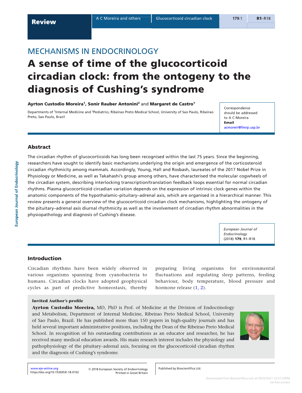 A Sense of Time of the Glucocorticoid Circadian Clock