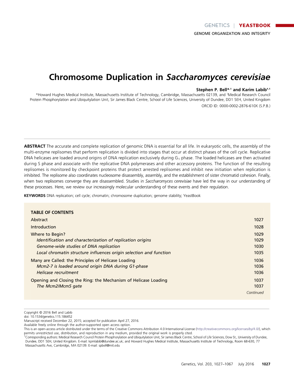 Chromosome Duplication in Saccharomyces Cerevisiae