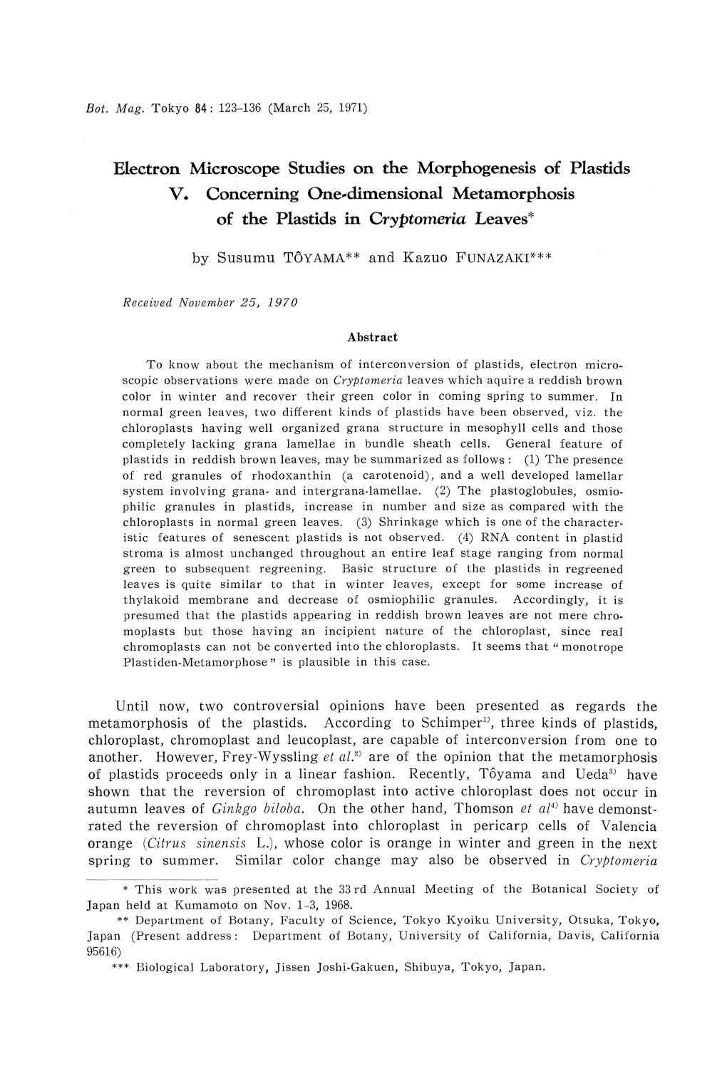 Microscope Studies on the Morphogenesis of Plastids V