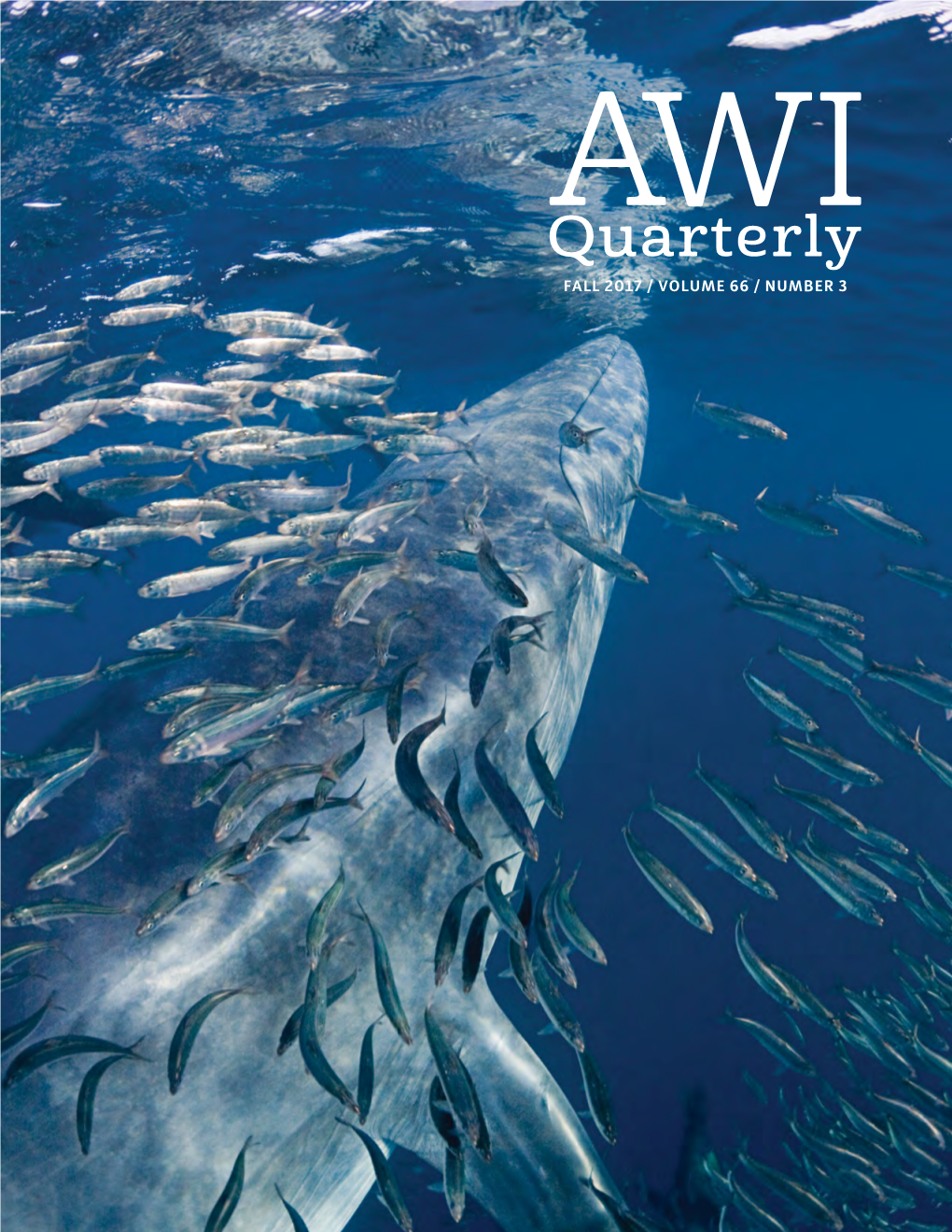 FALL 2017 / VOLUME 66 / NUMBER 3 of Its Actions on Endangered Animals and What Can Be Done to Avoid Harm—An Obligation It Has Not Fulfilled