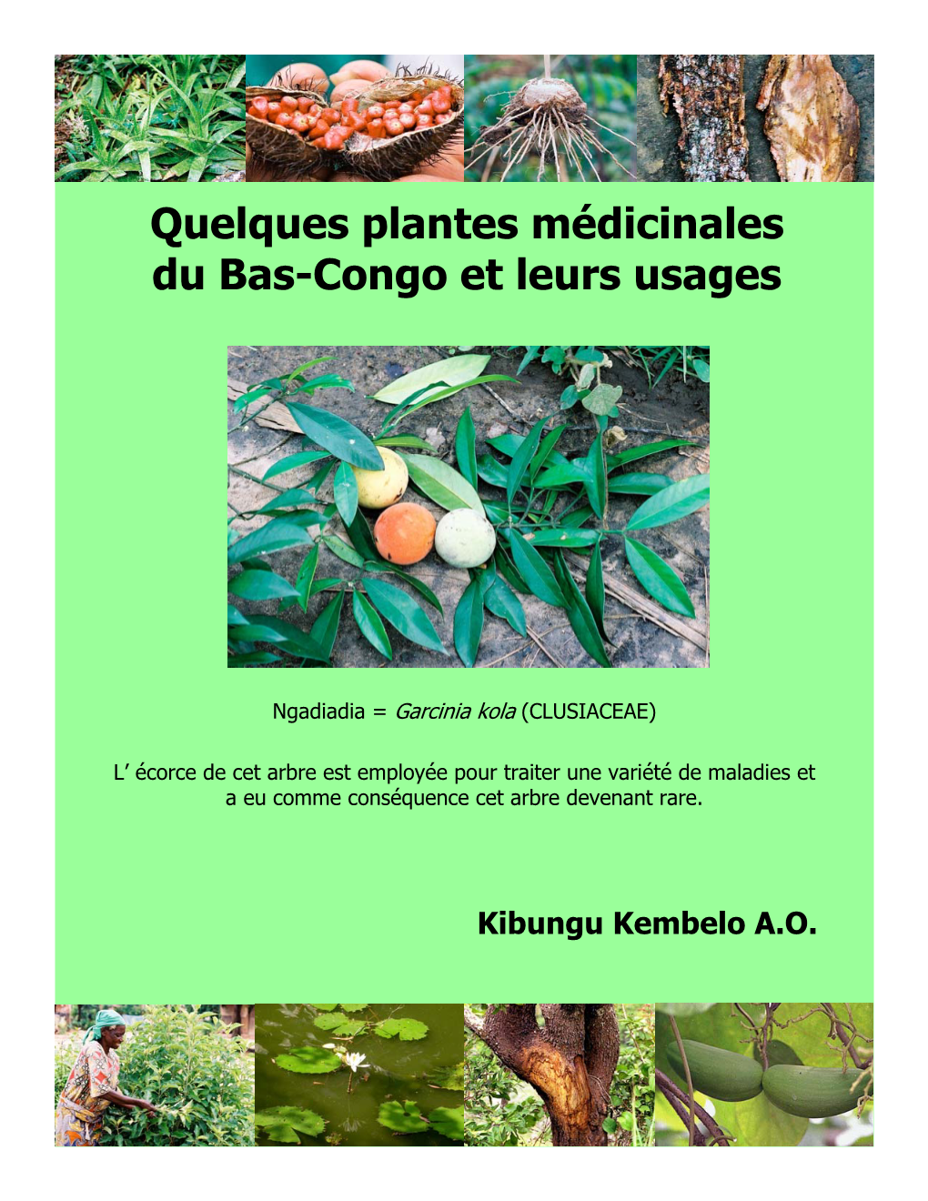 Quelques Plantes Médicinales Du Bas-Congo Et Leurs Usages