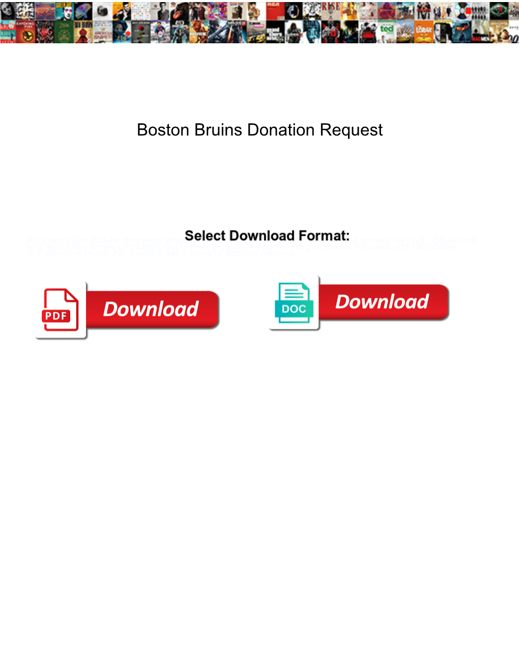 Boston Bruins Donation Request