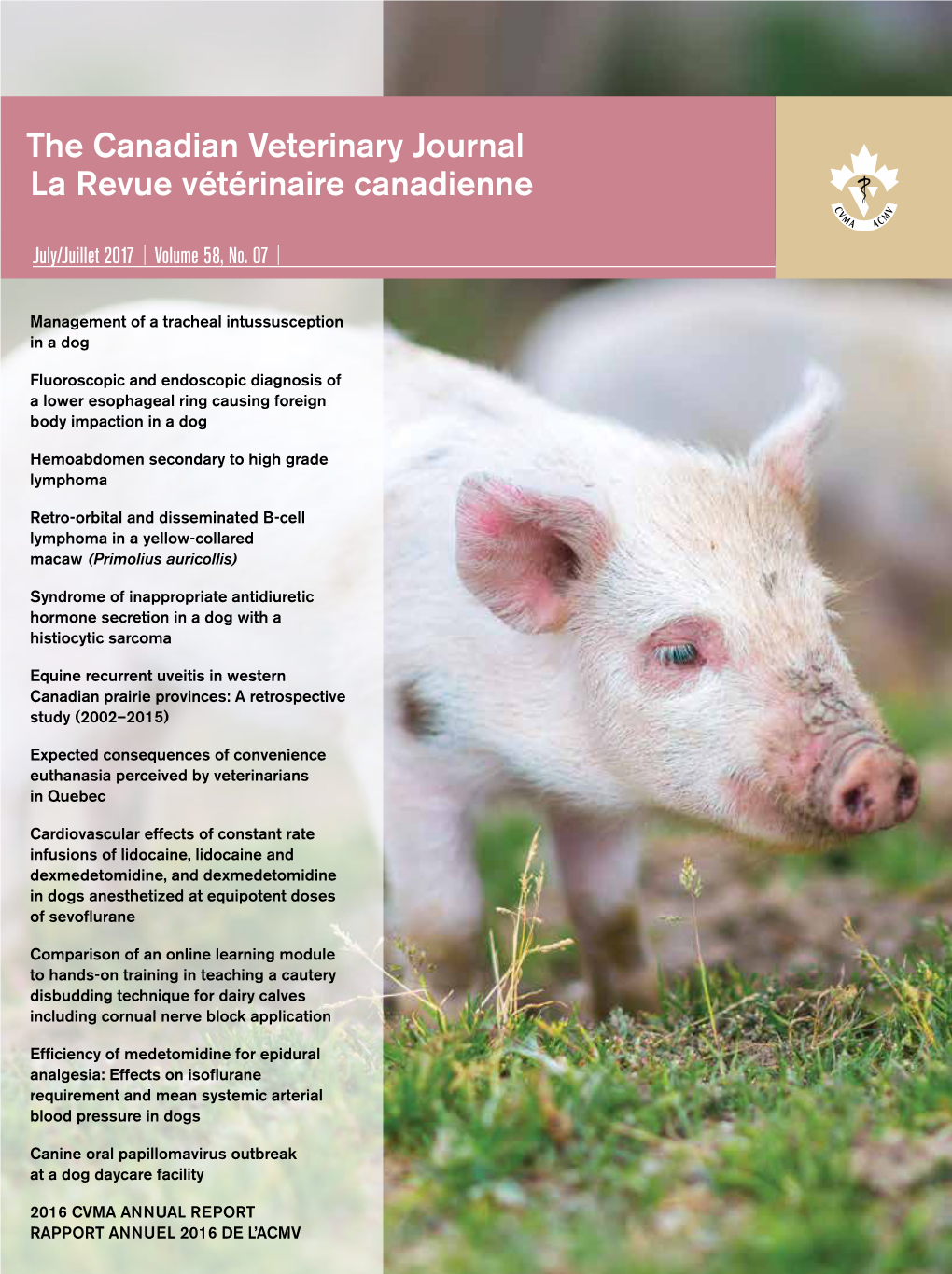 The Canadian Veterinary Journal La Revue Vétérinaire Canadienne