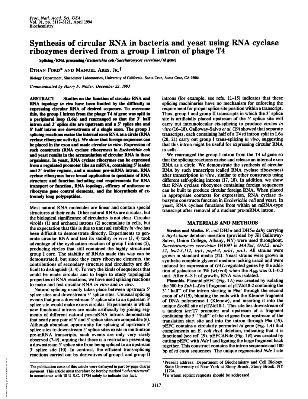 Synthesis of Circular RNA in Bacteria and Yeast Using RNA Cyclase