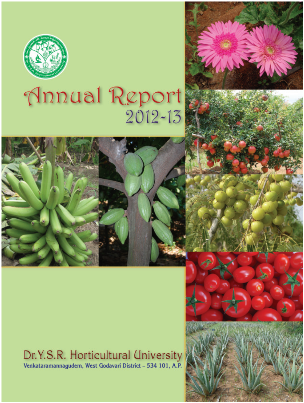 Annual Report 2012-13