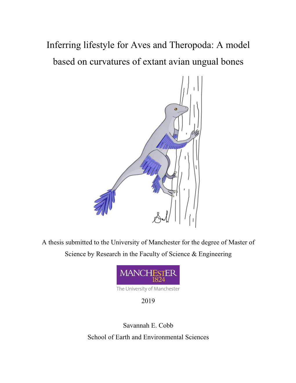 A Model Based on Curvatures of Extant Avian Ungual Bones