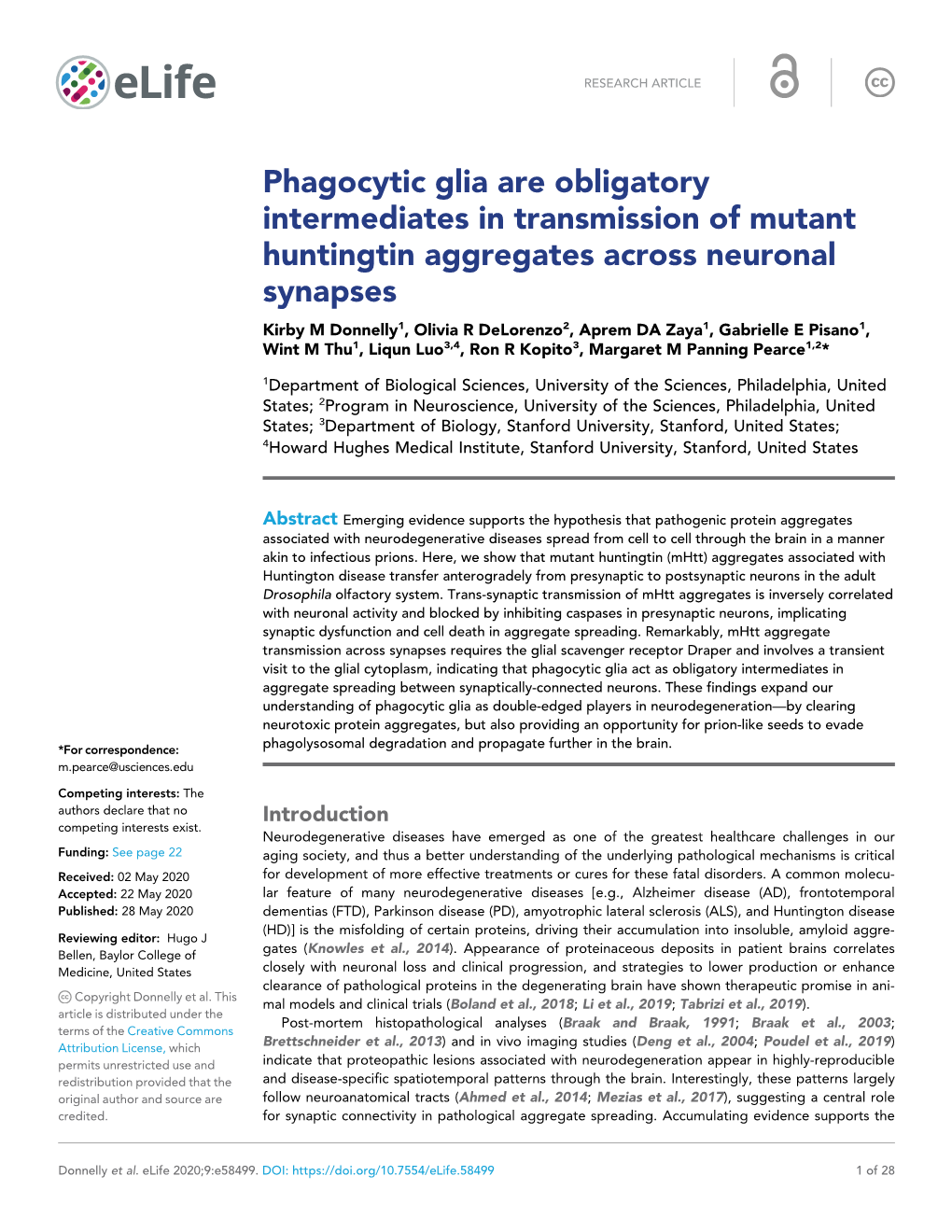 Phagocytic Glia Are Obligatory Intermediates in Transmission Of