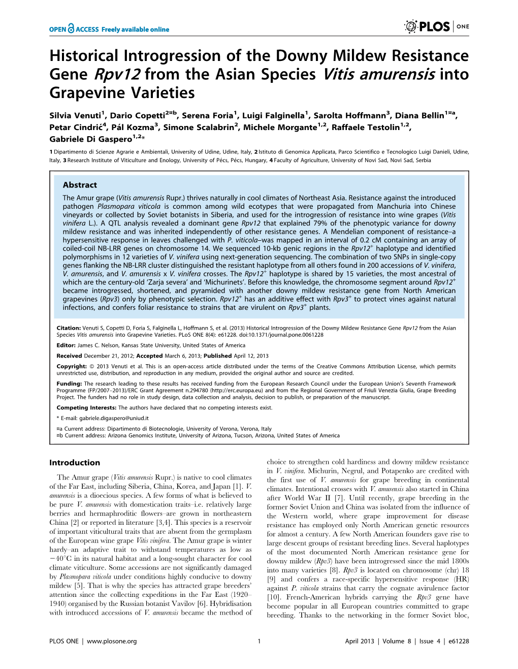 Historical Introgression of the Downy Mildew Resistance Gene Rpv12 from the Asian Species Vitis Amurensis Into Grapevine Varieties