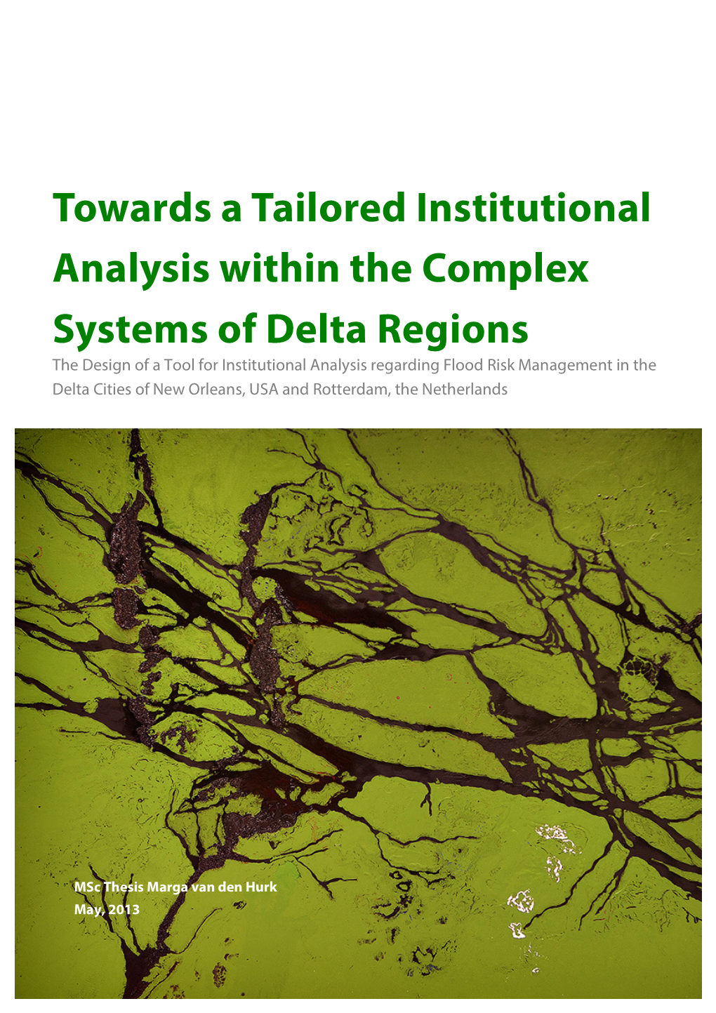 Towards a Tailored Institutional Analysis Within the Complex Systems of Delta Regions