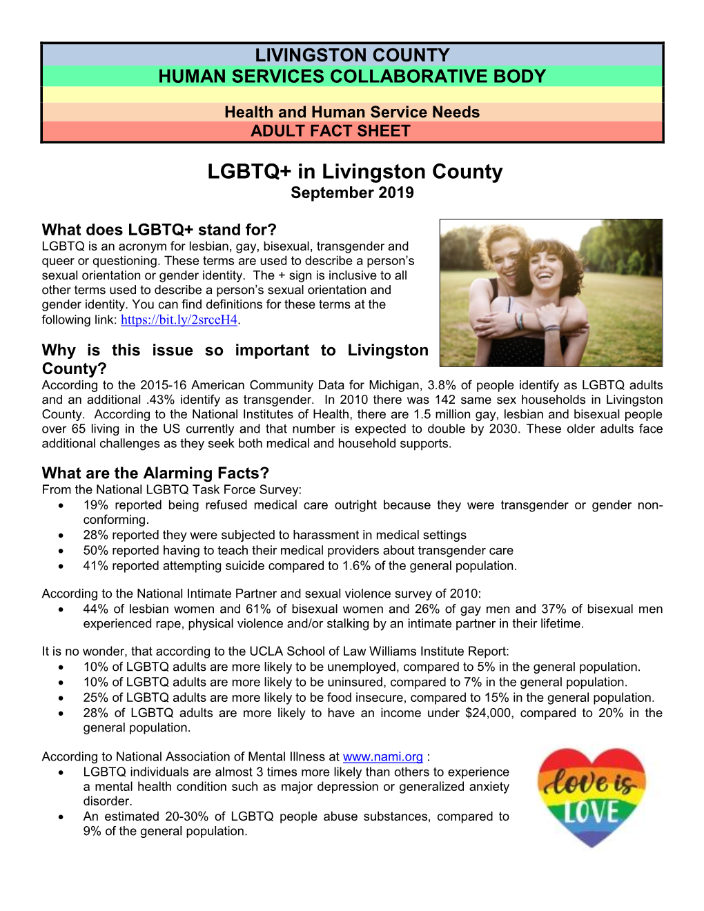 Fact Sheet LGBTQ+ Adult