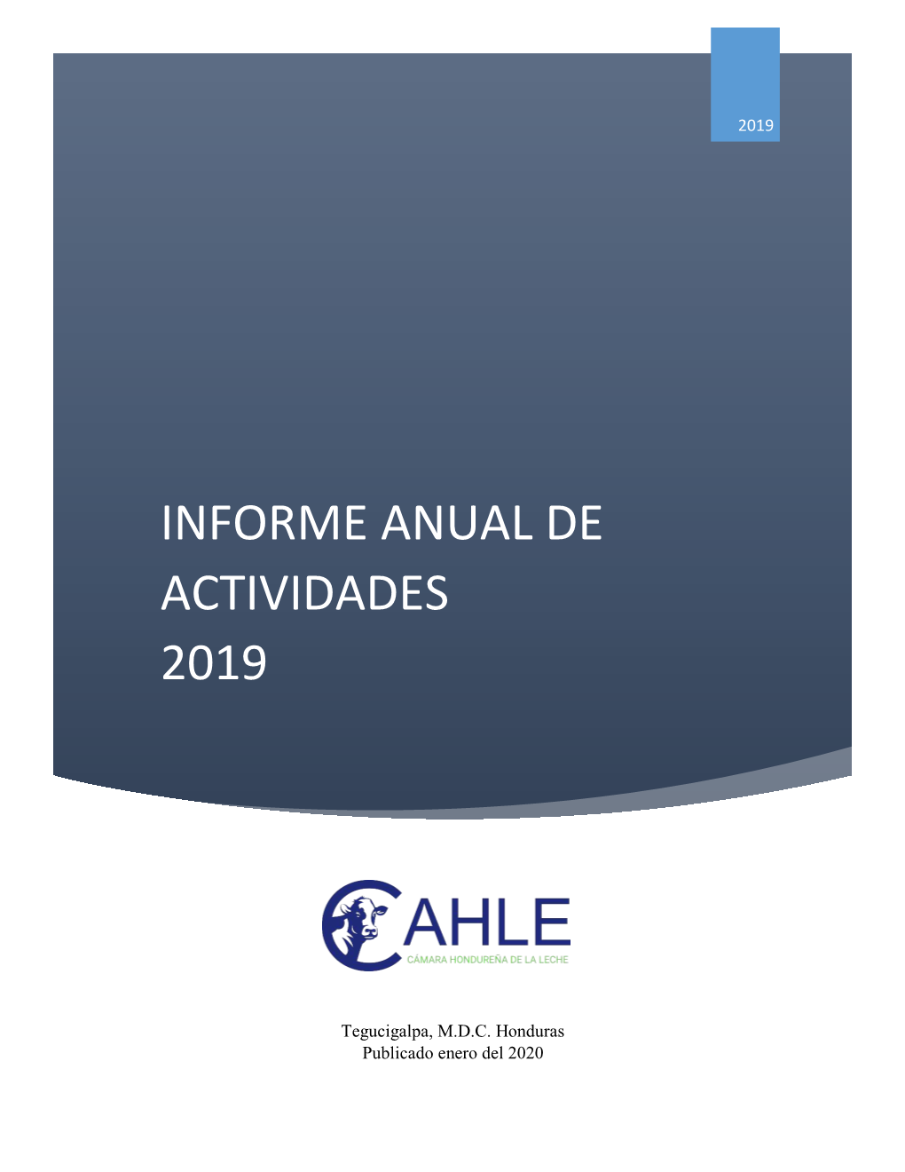 Informe Anual De Actividades 2019