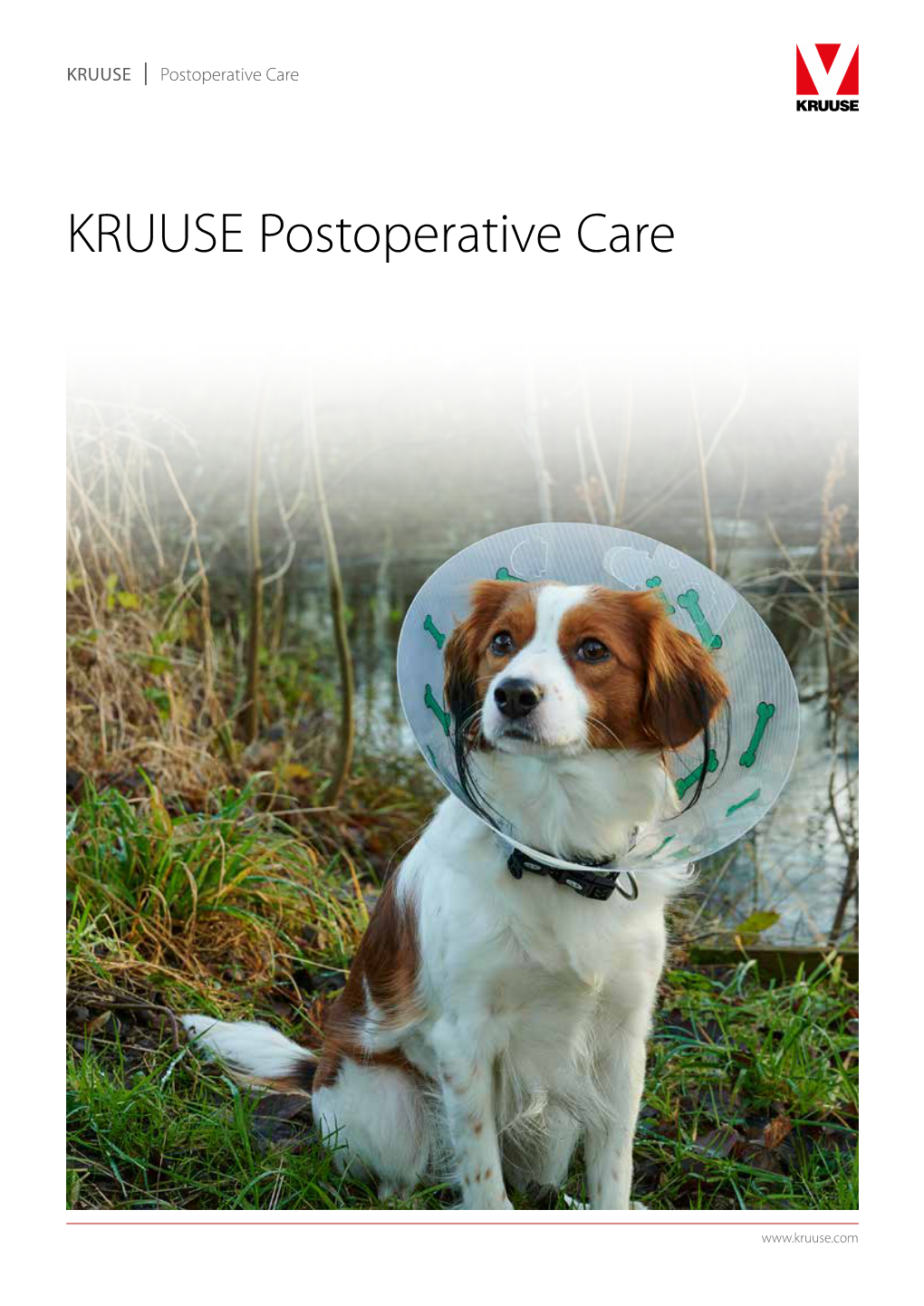 KRUUSE Postoperative Care