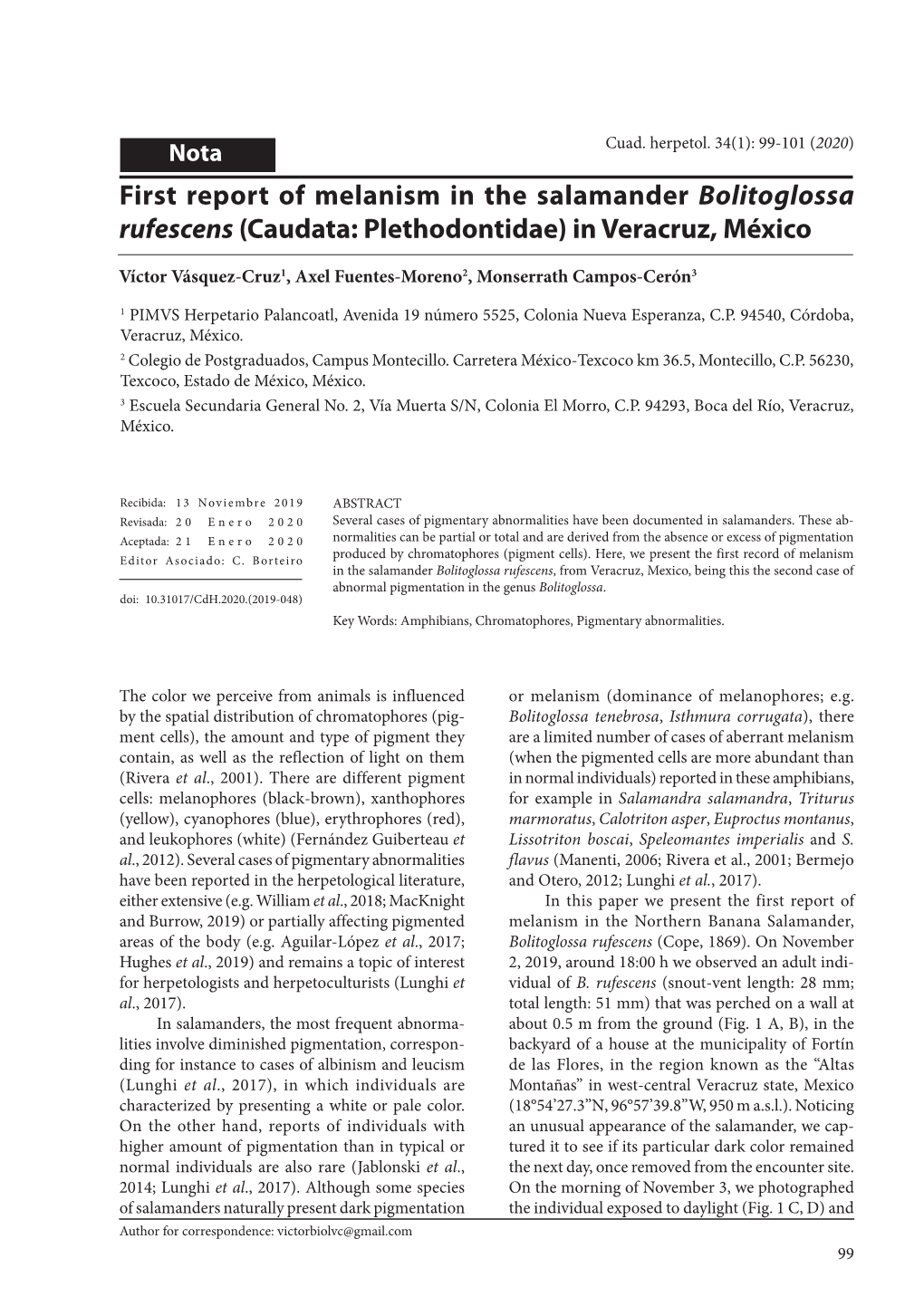 First Report of Melanism in the Salamander Bolitoglossa Rufescens (Caudata: Plethodontidae) in Veracruz, México