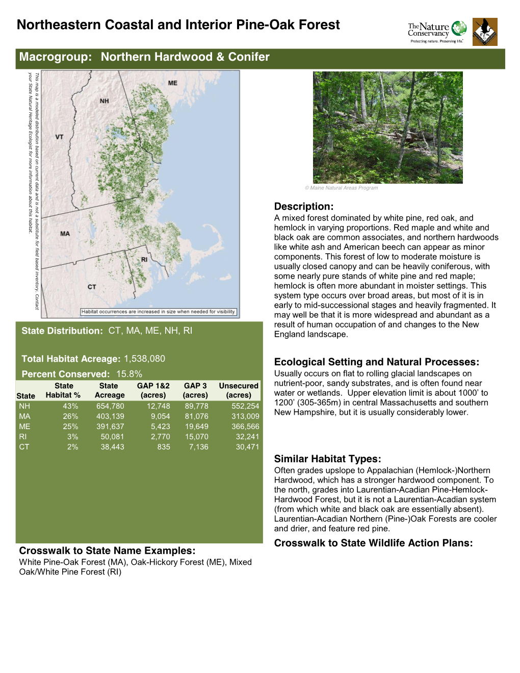 Northeastern Coastal and Interior Pine-Oak Forest