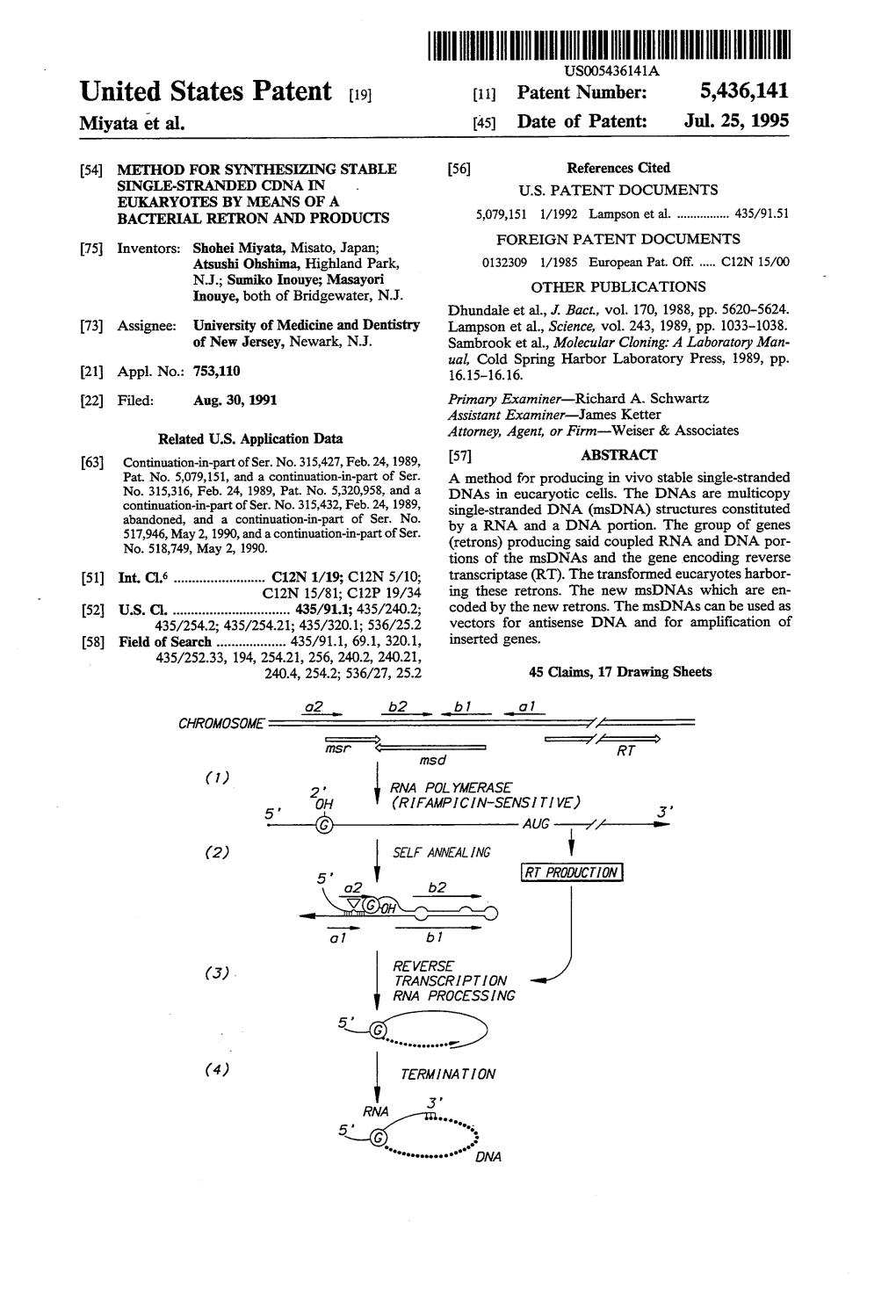 Neo-Cloo2 B2 O 1 B 1 (3) REVERSE TRANSCRIPTION RNA PROCESSING