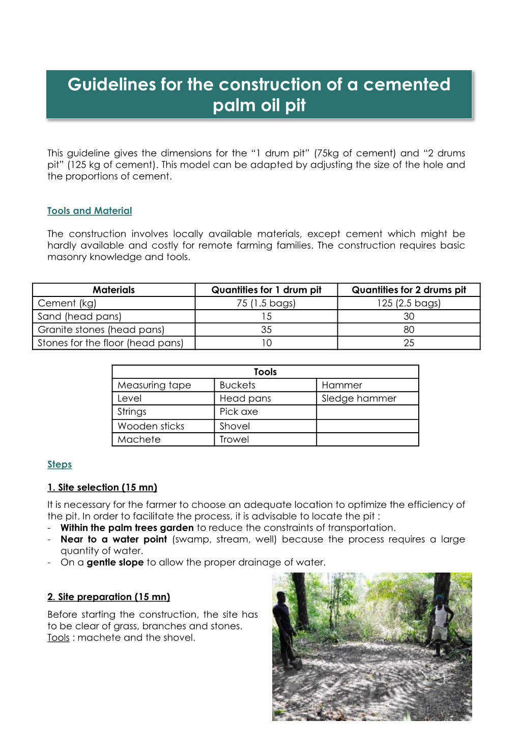 How to Process Palm Oil with the Pit