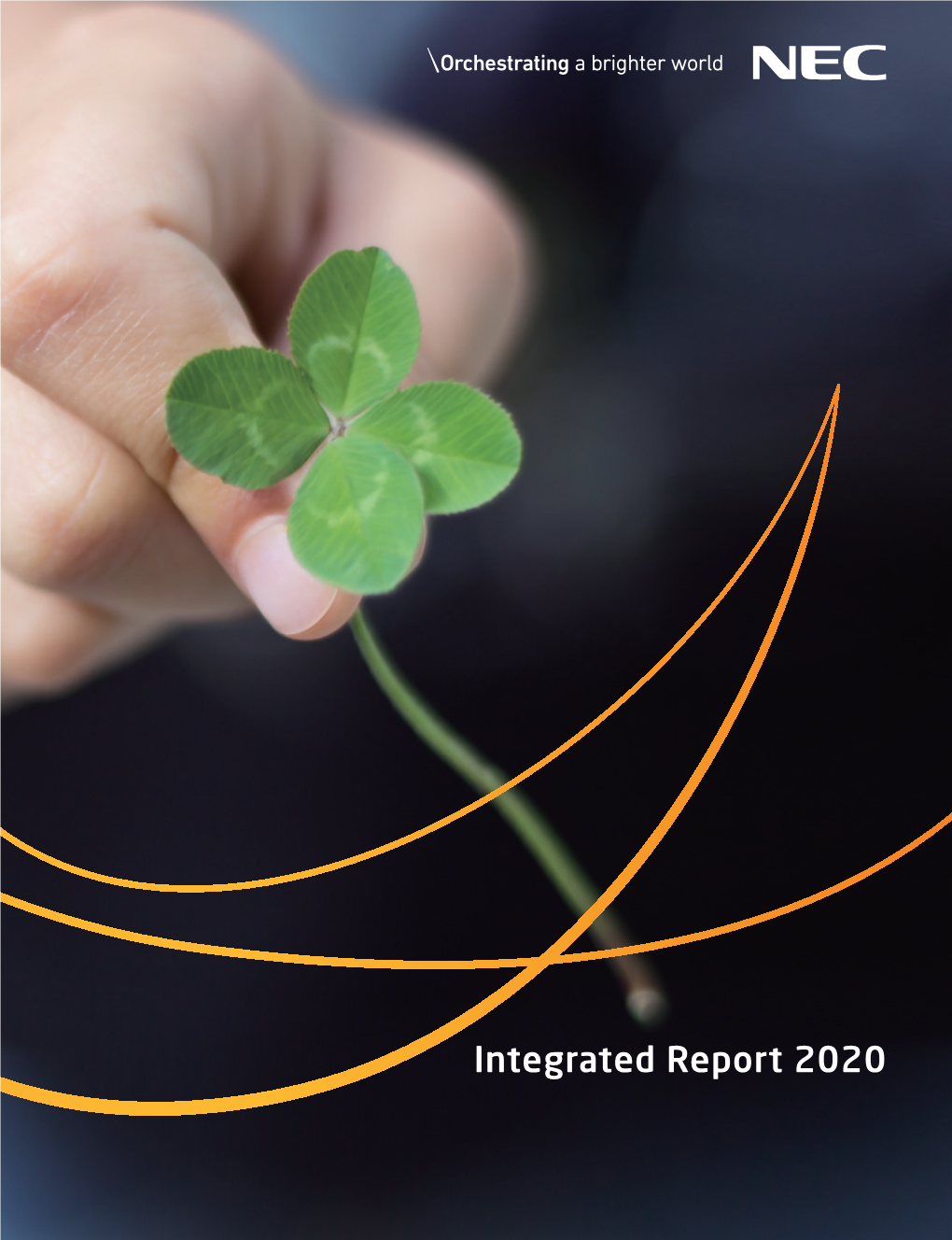 Integrated Report 2020 Purpose Contents