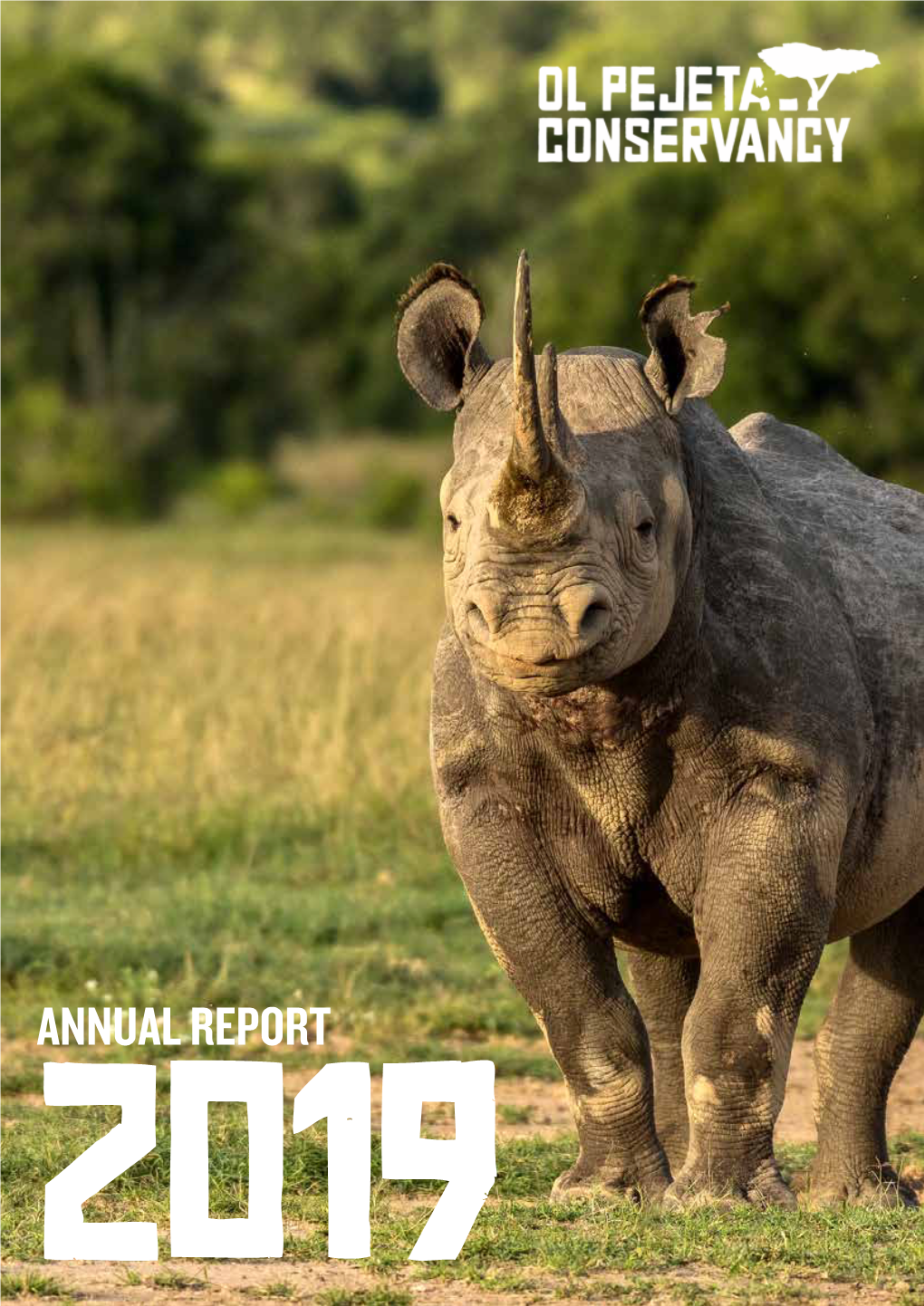 Annual Report 2019