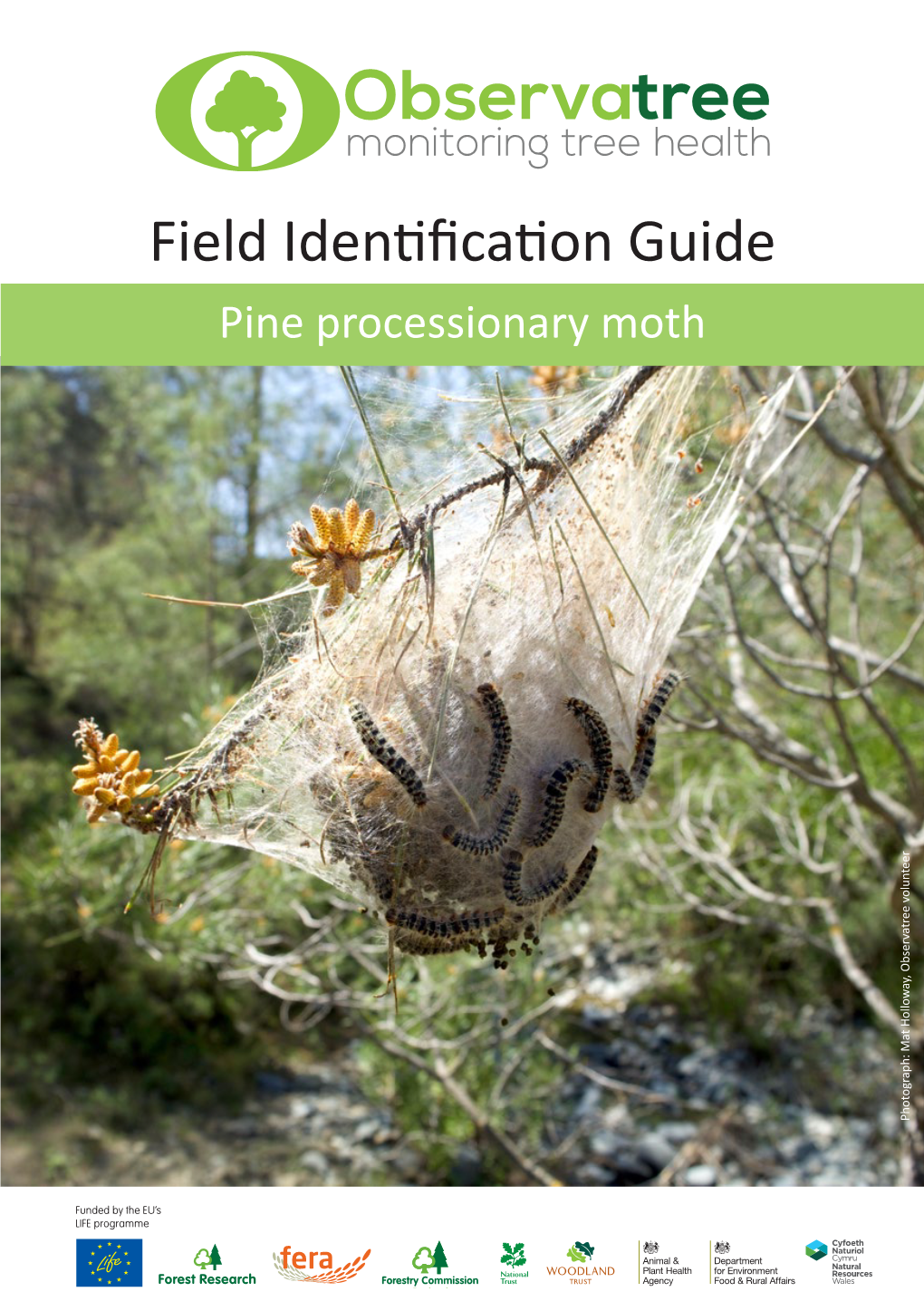 Field Identification Guide Pine Processionary Moth