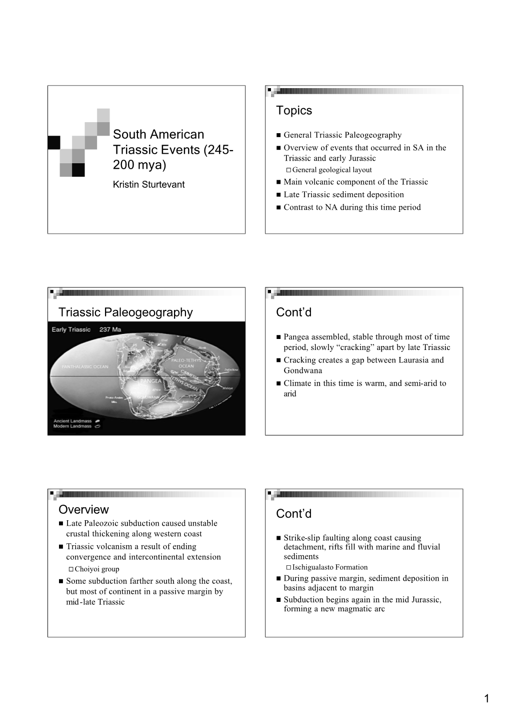 South American Triassic Events (245-200 Mya)