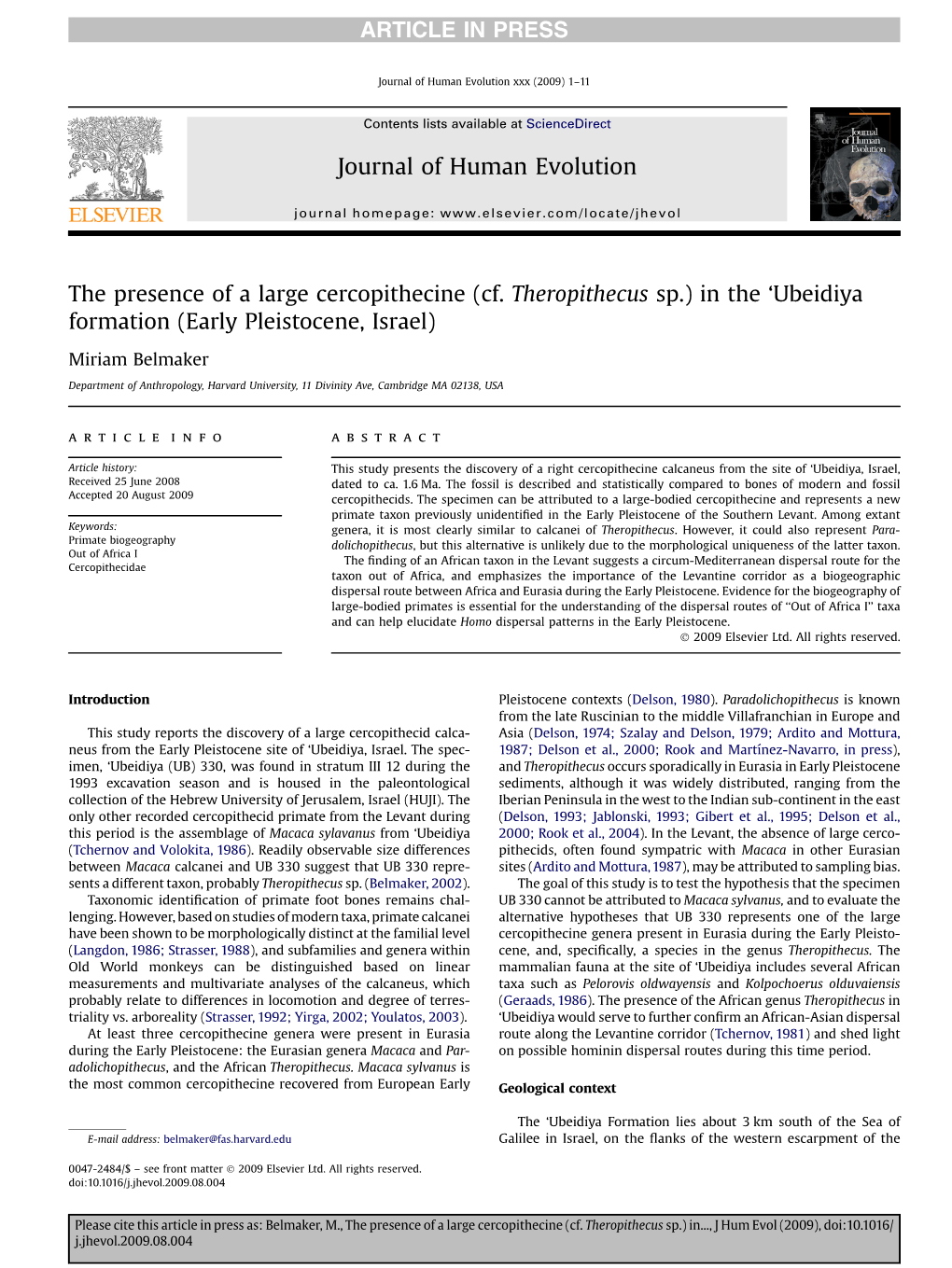 The Presence of a Large Cercopithecine (Cf. Theropithecus Sp.) in the ‘Ubeidiya Formation (Early Pleistocene, Israel)