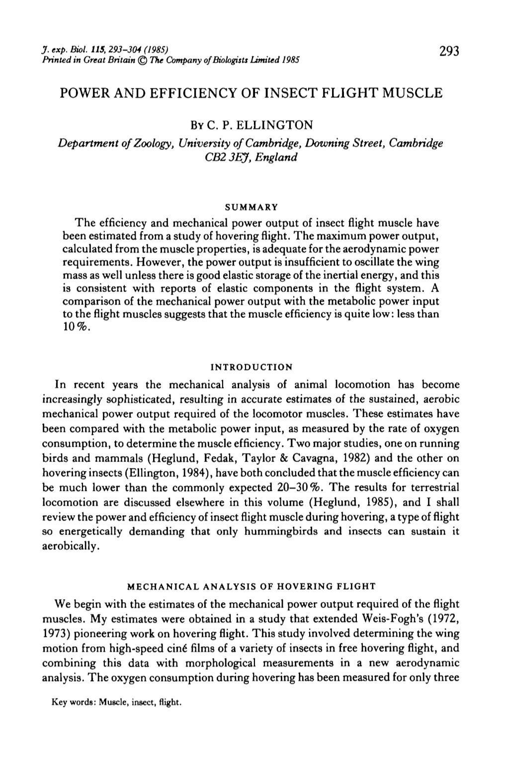 Power and Efficiency of Insect Flight Muscle