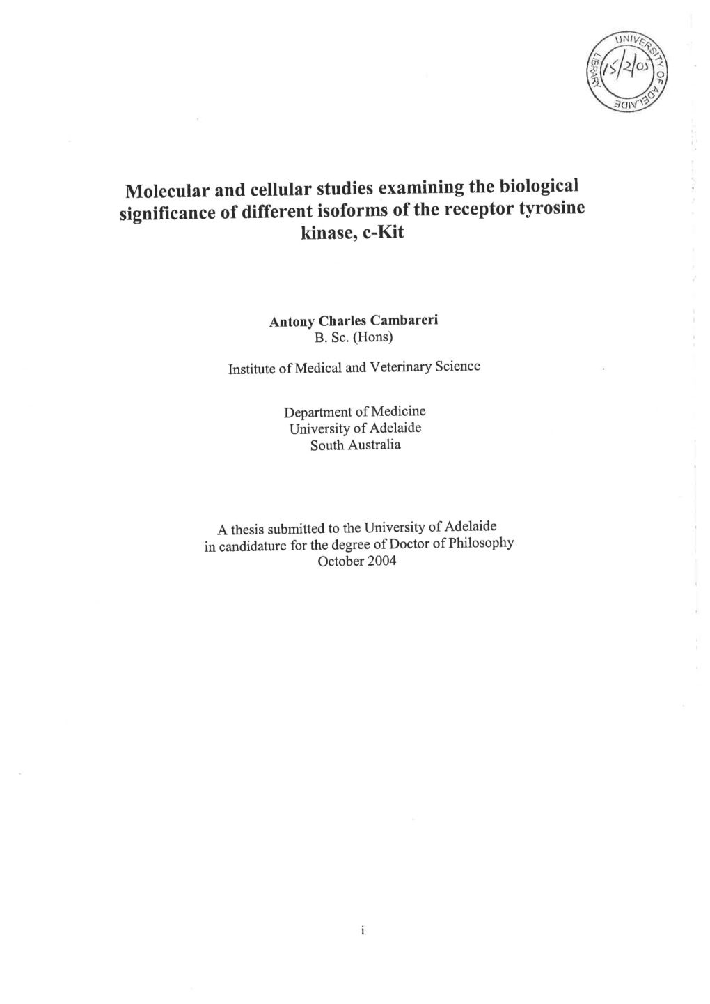 Molecular and Cellular Studies Examining the Biological Significance of Different Isoforms of the Receptor Tyrosine Kinase' C-Kit