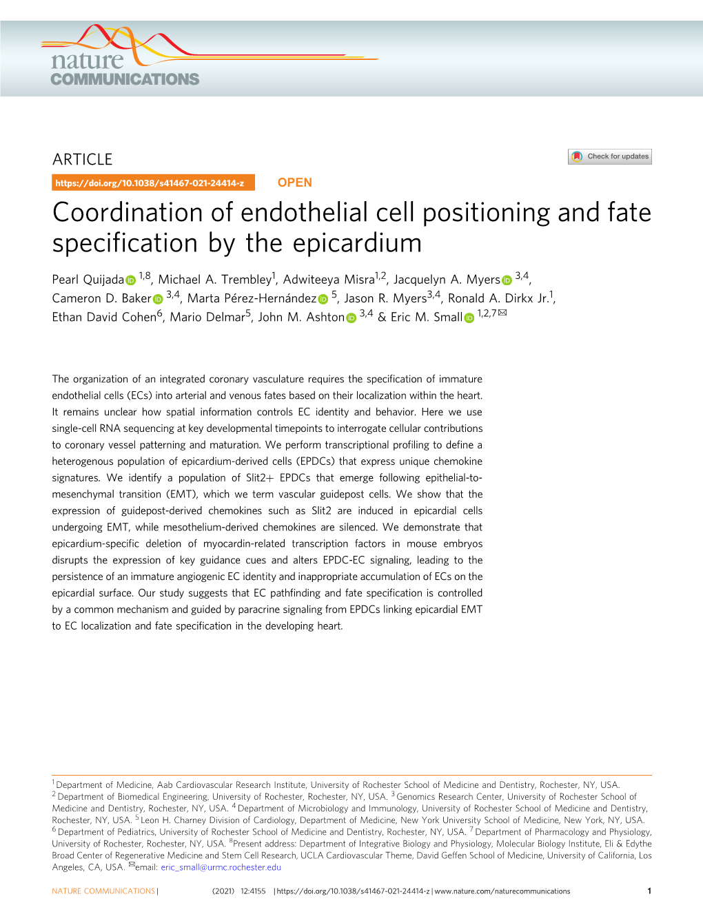 Coordination of Endothelial Cell Positioning and Fate Specification By