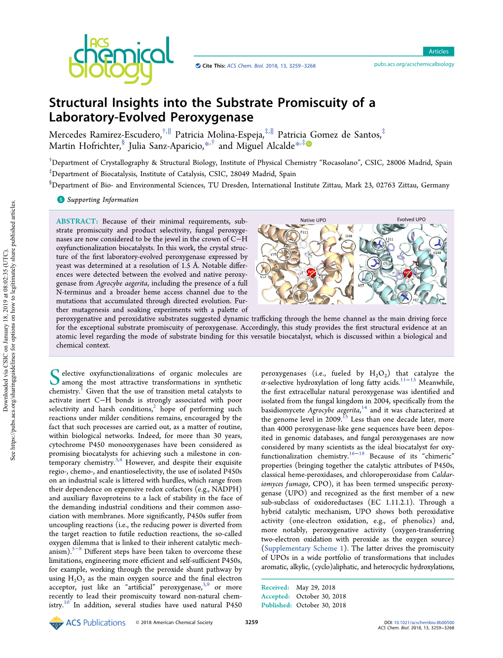 Structural Insights Into the Substrate Promiscuity of a Laboratory-Evolved Peroxygenase