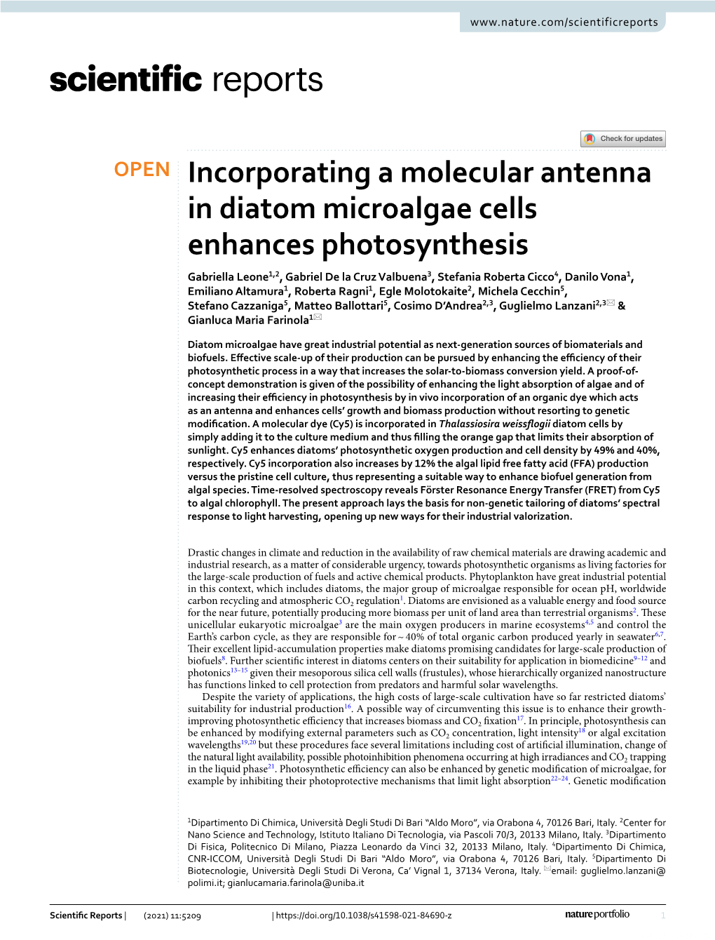 Incorporating a Molecular Antenna in Diatom Microalgae Cells Enhances