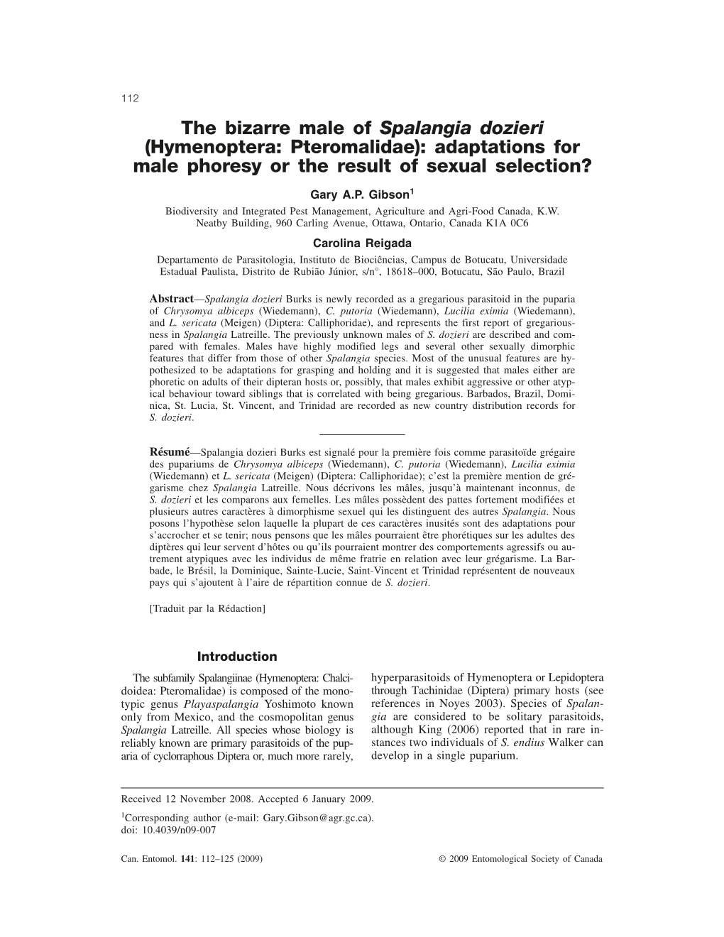 The Bizarre Male of Spalangia Dozieri (Hymenoptera: Pteromalidae): Adaptations for Male Phoresy Or the Result of Sexual Selection?