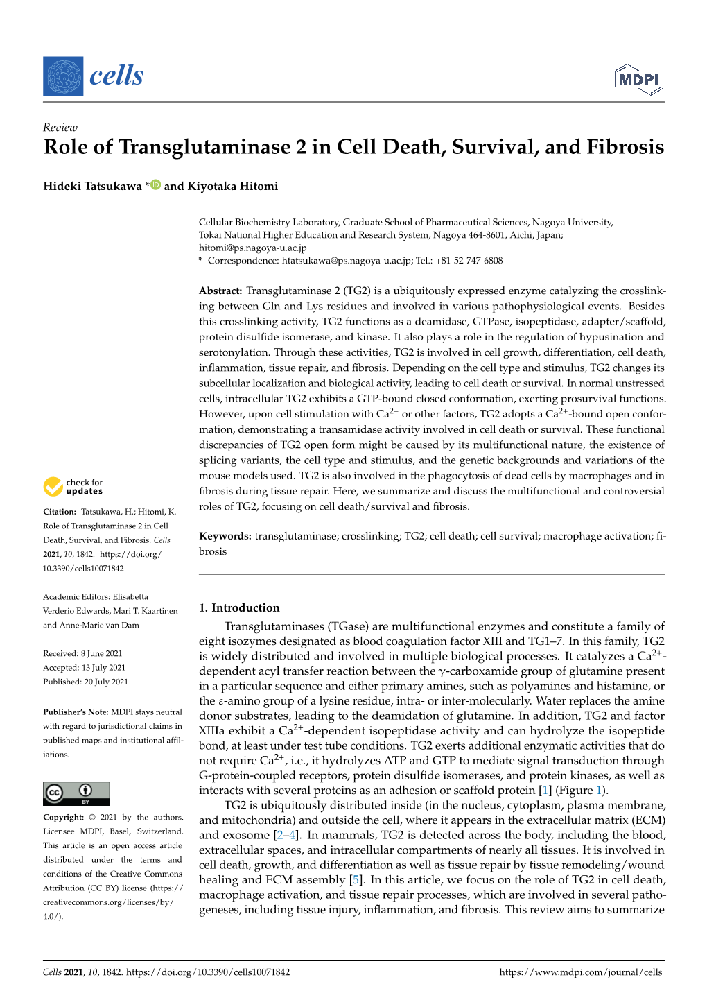 Role of Transglutaminase 2 in Cell Death, Survival, and Fibrosis