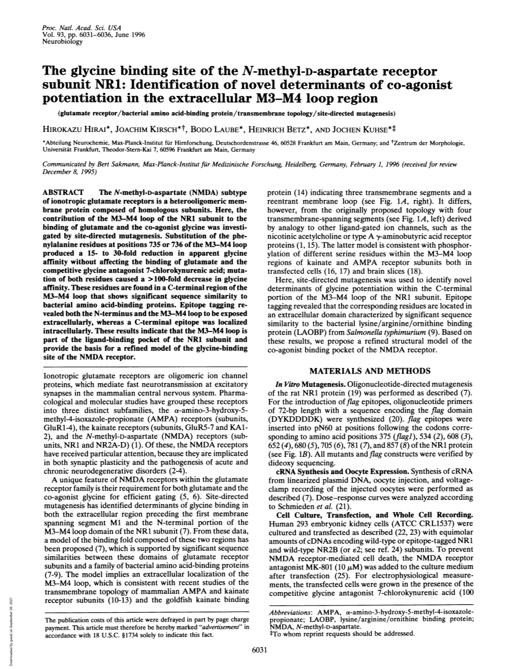 The Glycine Binding Site of the N-Methyl-D-Aspartate Receptor