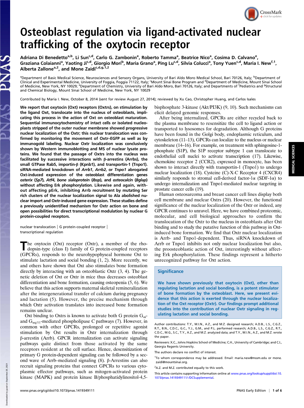 Osteoblast Regulation Via Ligand-Activated Nuclear Trafficking of the Oxytocin Receptor