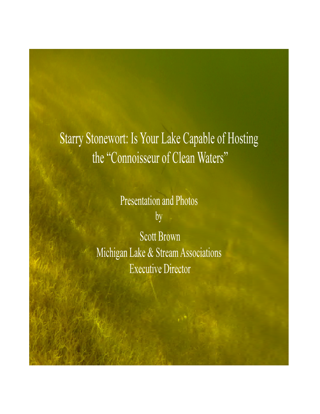 Starry Stonewort: Is Your Lake Capable of Hosting the “Connoisseur of Clean Waters”