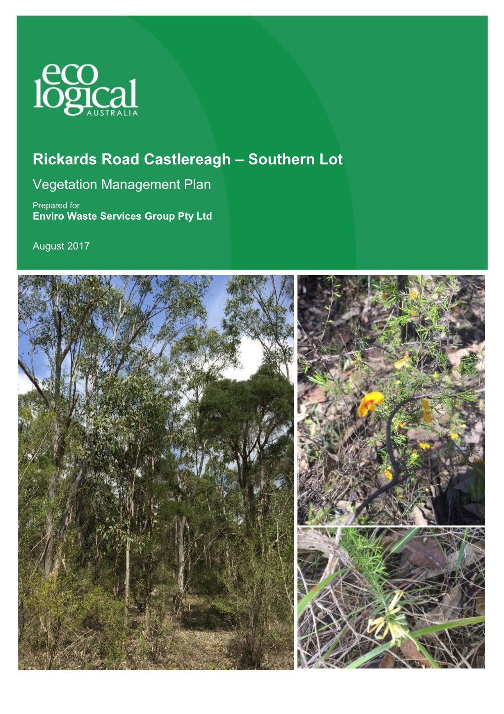 Rickards Road Castlereagh – Southern Lot