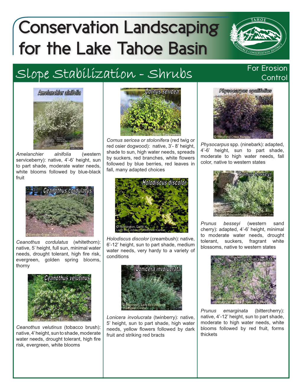 Conservation Landscaping for the Lake Tahoe Basin for Erosion Slope Stabilization - Shrubs Control