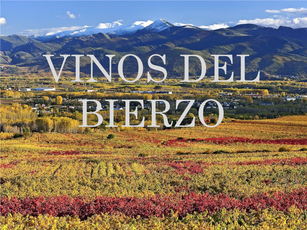 Vinos Del Bierzo